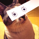 Illustration for article titled Fake Cartoon Eyes for Cats Make Everything Better